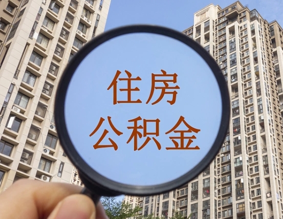 菏泽退休后查不到公积金明细了吗（退休后公积金查询不到原因）
